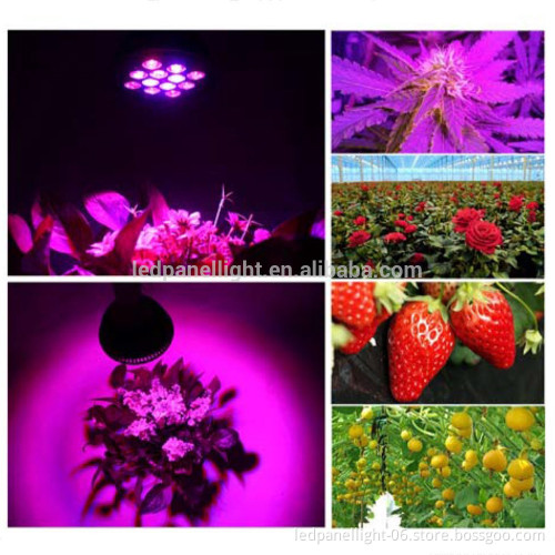 E27 12w 36w LED Plant Grow Bulb for Flowering Plant Vegetables, 12 LED for Indoor Hydroponic Garden Greenhouse